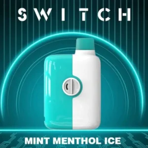 Buy Mr. Fog Switch Mint Menthol Ice 5500