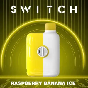 Buy Banana Raspberry Ice Mr Fog Switch 5500 Puffs