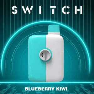 Buy Blueberry Kiwi Mr. Fog Switch 5500