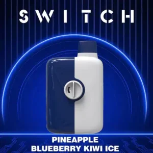 Buy Pineapple Blueberry Kiwi Ice Mr Fog Switch 5500 Puffs