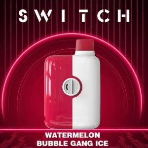 Buy Bubble Gang Watermelon Ice Mr. Fog Switch 5500