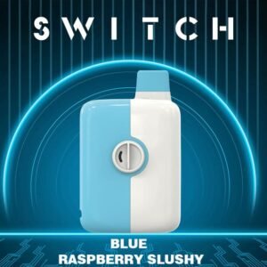 Buy Blue Raspberry Slushy Mr. Fog Switch 5500