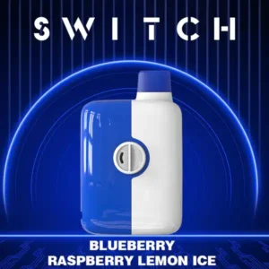 Buy Lemon Blueberry Raspberry Ice Mr. Fog Switch 5500