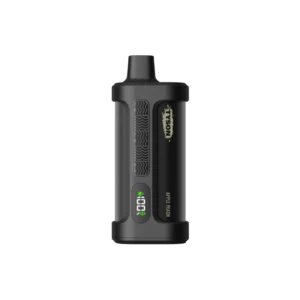 Apple Peach - Tyson 2.0 - Iron Mike Tyson 15k Puffs - Disposable Vape