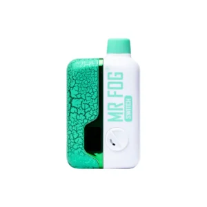 Gum Mint - Mr Fog - Switch SW15000 Puffs - Disposable Vape